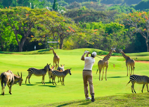 Chinh phục sân Golf giữa kỳ quan thiên nhiên thế giới