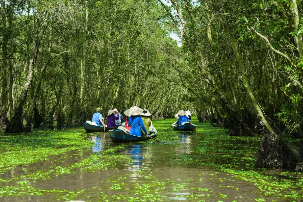 Định nghĩa du lịch sinh thái