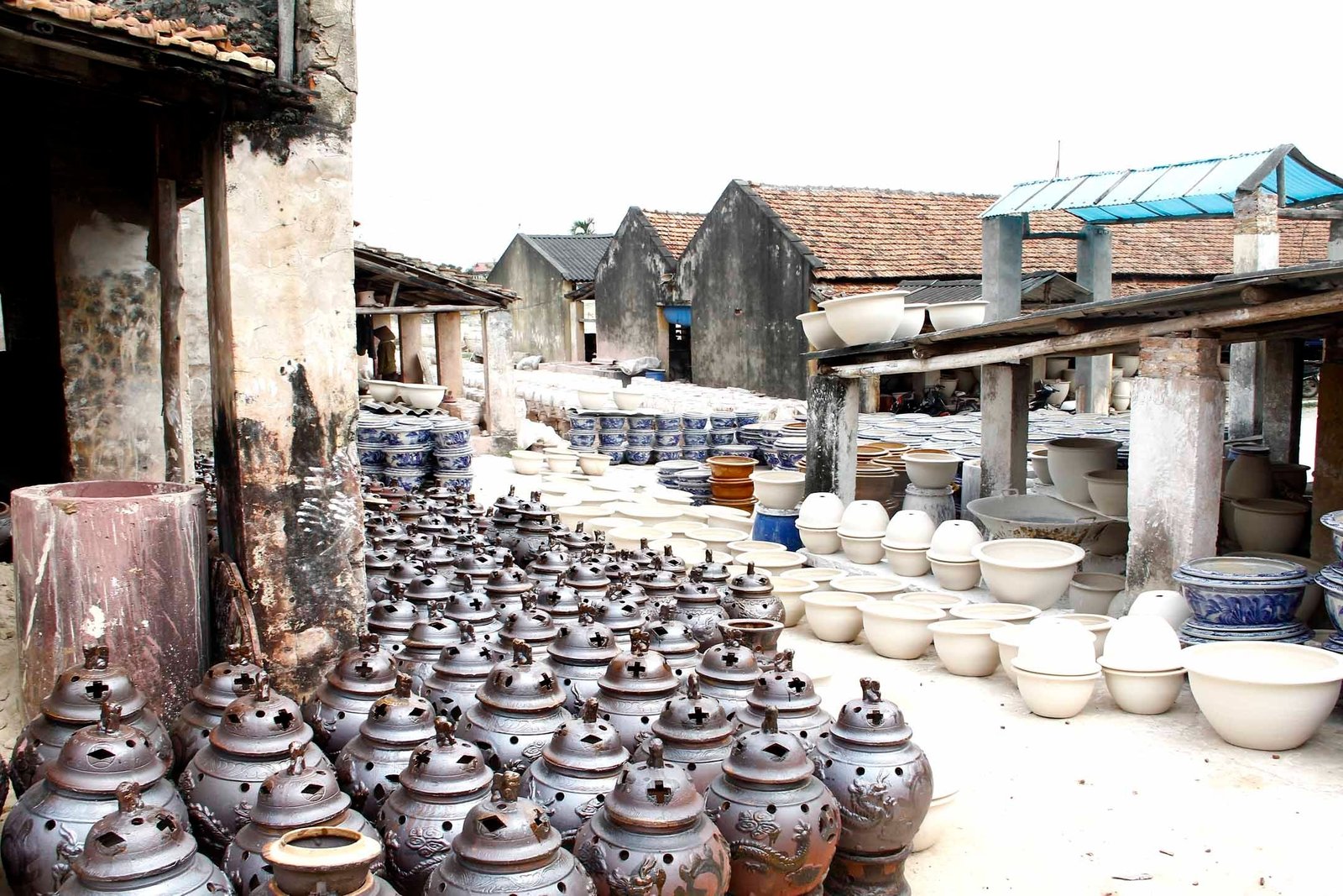 Du lịch nông nghiệp ở Quảng Ninh