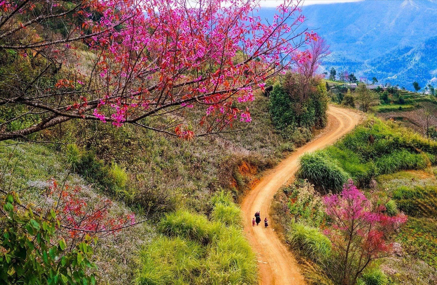 Du lịch trải nghiệm Tây Bắc vào mùa xuân