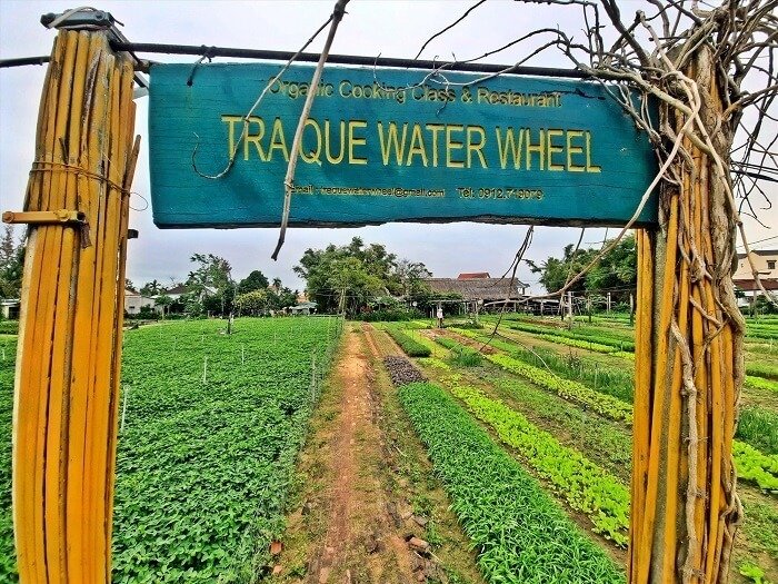 Du lịch trải nghiệm ở Việt Nam: Làng rau Trà Quế