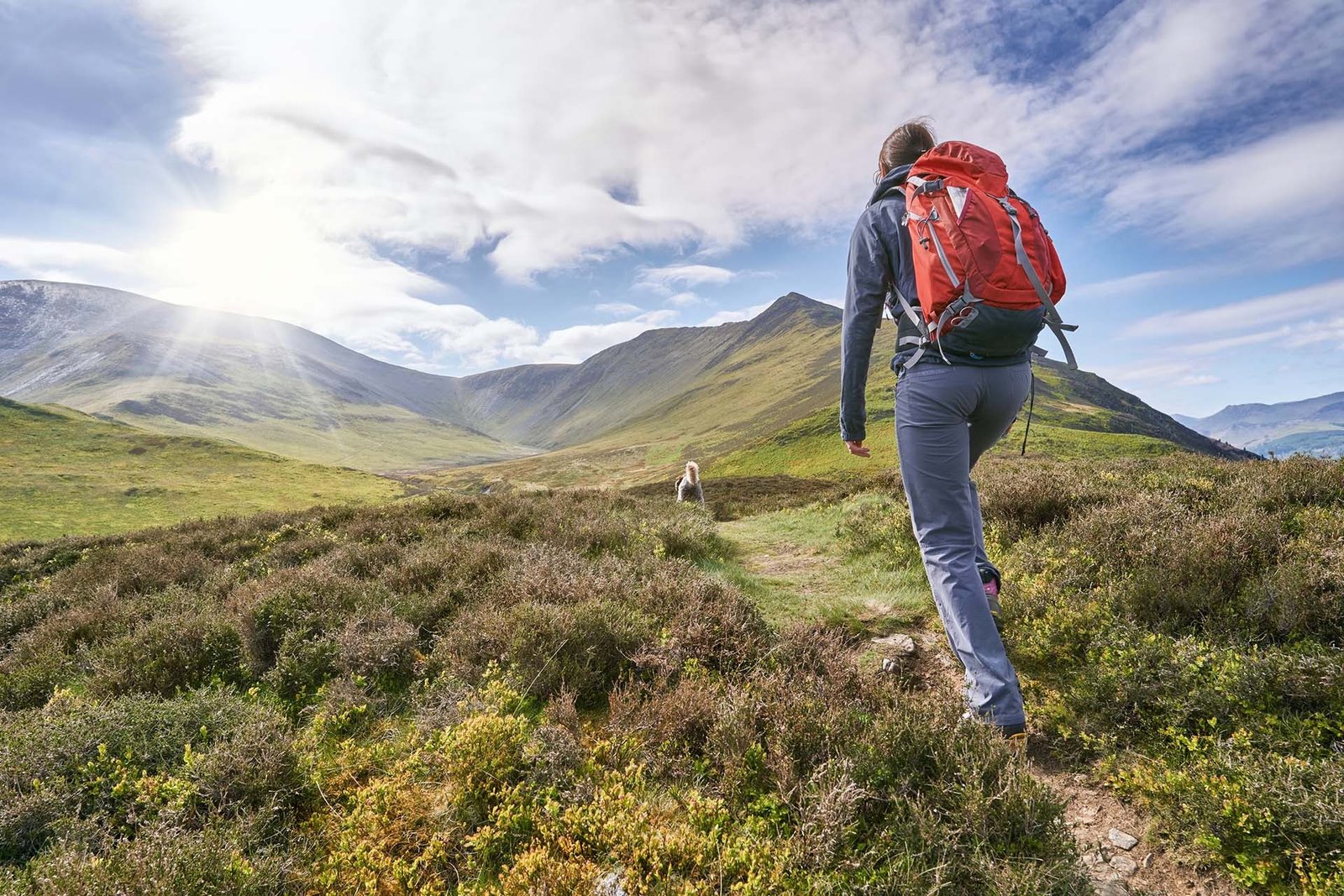 Hiking là gì?
