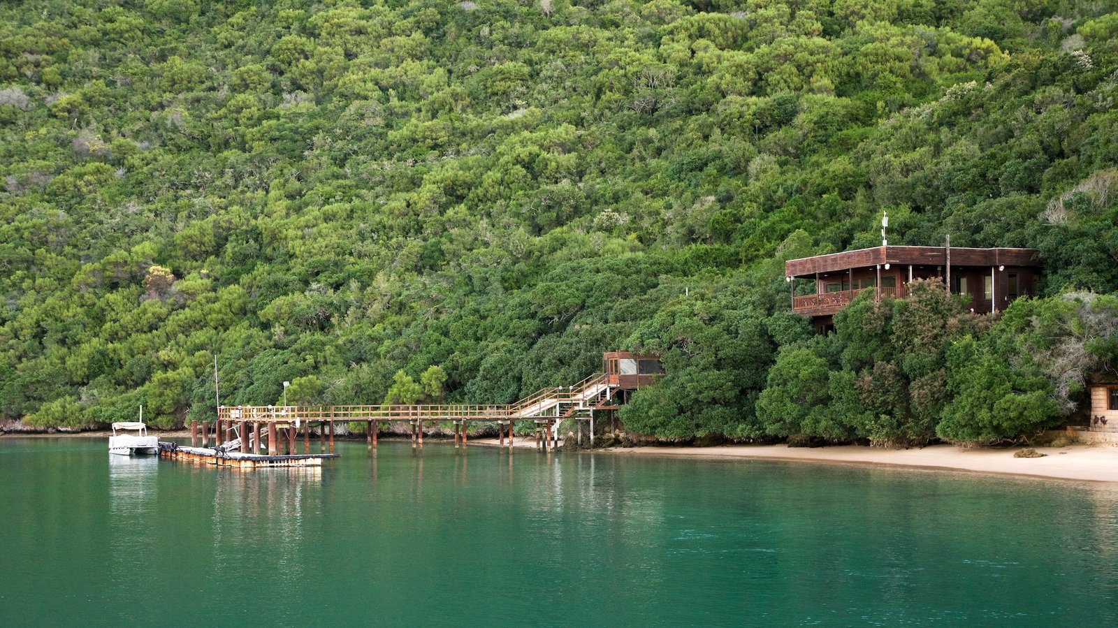 rung o Nam Phi Rung Knysna