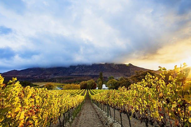 Cape Town mùa thu tháng 5