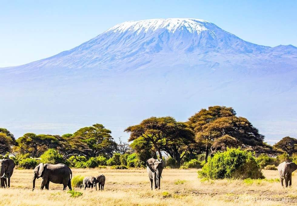 Kilimanjaro - Đỉnh Núi Cao Nhất Châu Phi