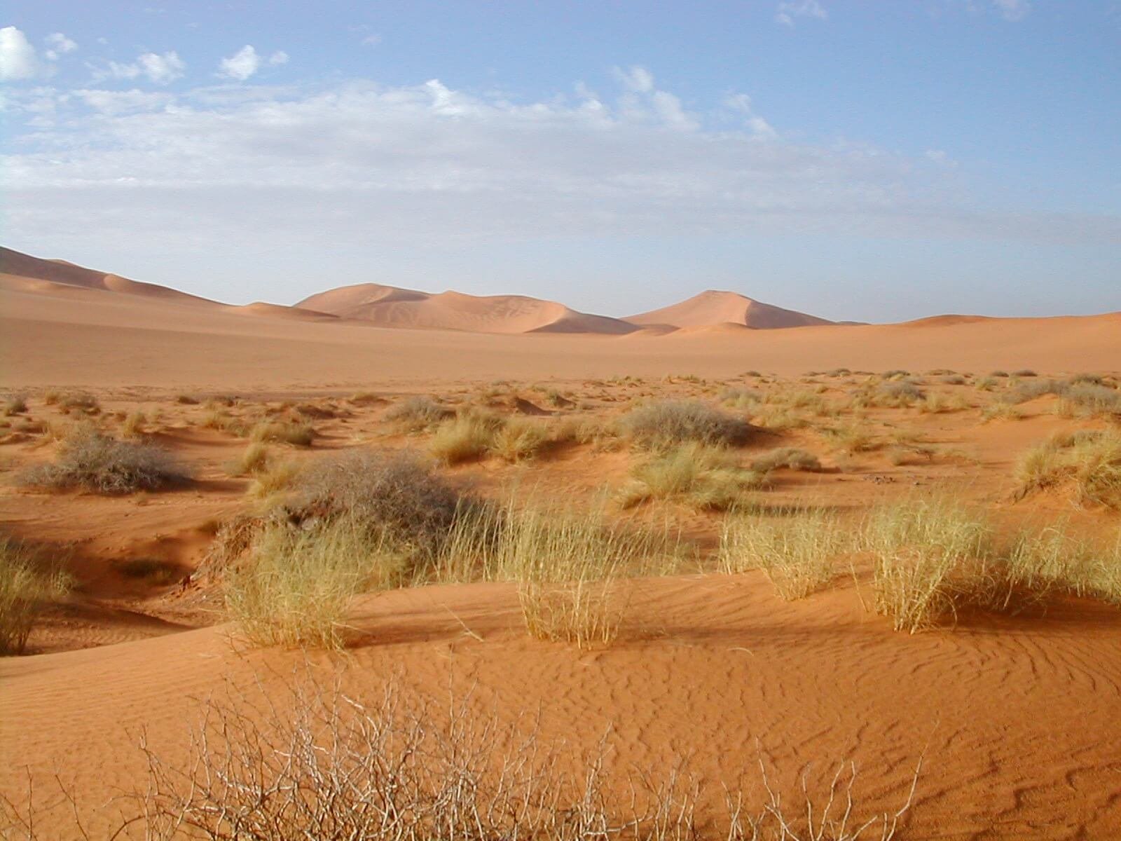 Chí tuyến Bắc – Cắt ngang qua hoang mạc Sahara