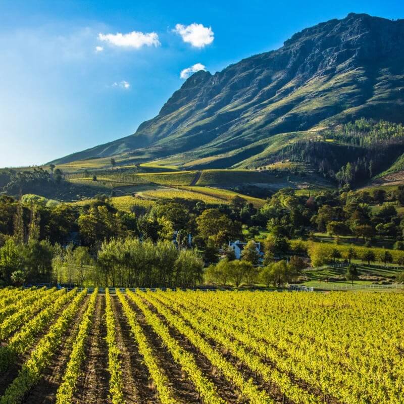 Giới thiệu về làng Stellenbosch