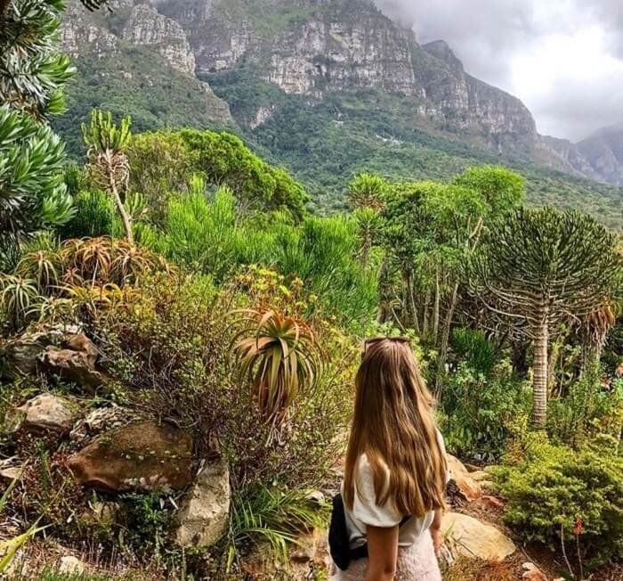 Hướng dẫn di chuyển đến Vườn bách thảo Kirstenbosch
