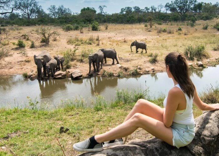 Nên đi tour hay du lịch Nam Phi tự túc? Ưu nhược điểm & gợi ý lựa chọn 3 Nên đi tour hay du lịch Nam Phi tự túc?