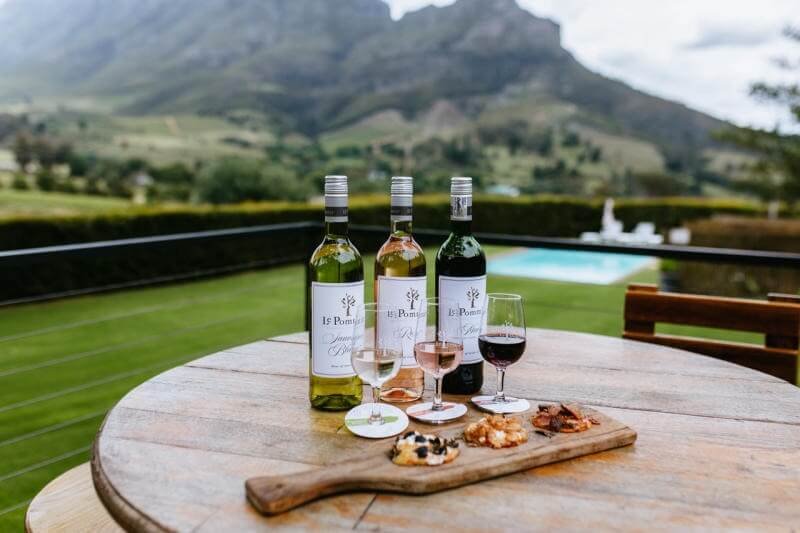 Tham quan các nhà máy rượu vang và vườn nho tại làng Stellenbosch