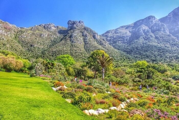 Tổng quan về Vườn bách thảo Kirstenbosch