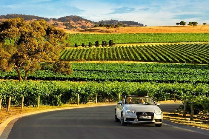 Đến thung lũng Barossa bằng ô tô