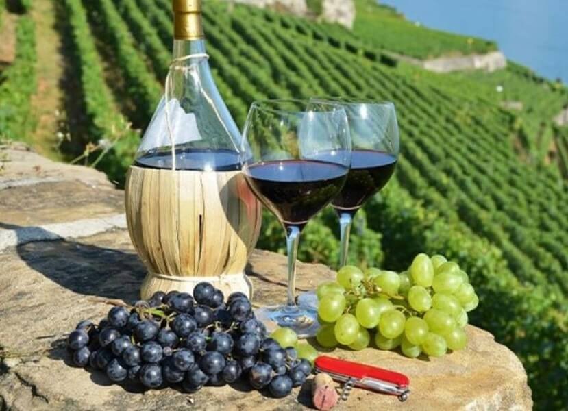 Italia là quốc gia sản xuất rượu hàng đầu thế giới