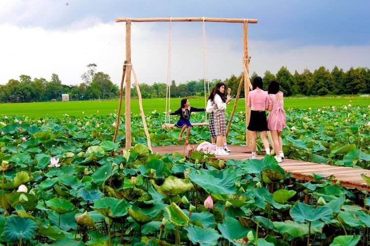 Khu du lịch sinh thái cánh đồng Sen Tháp Mười