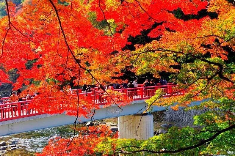Lễ hội Korankei ngắm lá đỏ