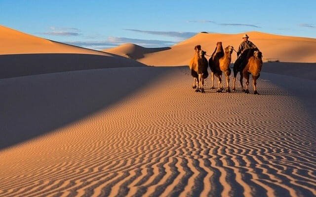 Sa mạc Gobi nằm ở đâu?