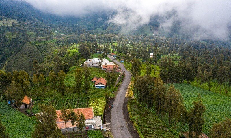 Tham quan làng Cemoro Lawang
