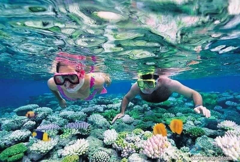 Phan Thiết snorkeling: Top 5 điểm lặn ngắm san hô đẹp nhất 3 lặn san hô Cù Lao Câu phan thiết