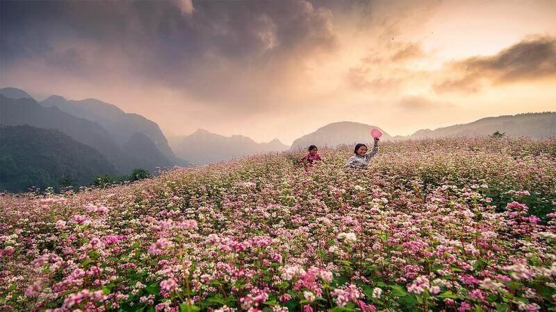 tháng 12 du lịch ở đâu miền bắc: Hà Giang