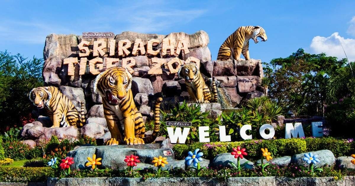 Giới thiệu về vườn thú Sriracha Tiger Zoo