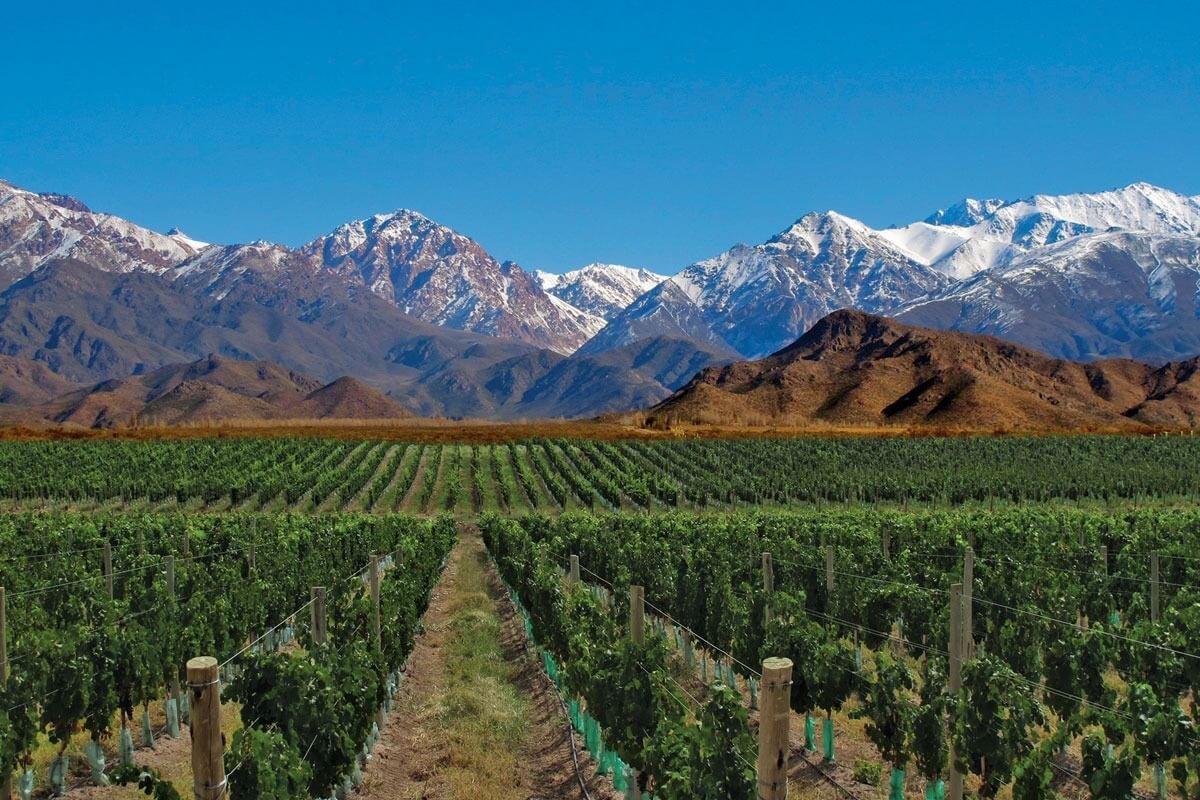Mendoza: điểm du lịch hàng đầu tại Argentina