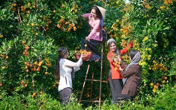 Một số hình ảnh ấn tượng từ Cù lao Tân Phong Tiền Giang