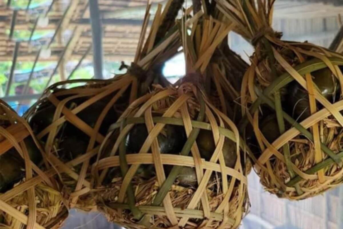 Ốc treo giàn bếp