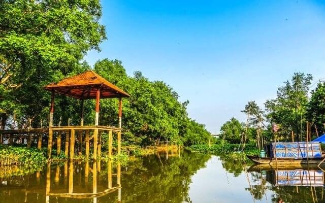 Review Cồn Sơn Cần Thơ: Kinh Nghiệm Di Chuyển & Vui Chơi