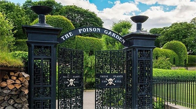 Tham quan vườn cây độc dược Alnwick Poison