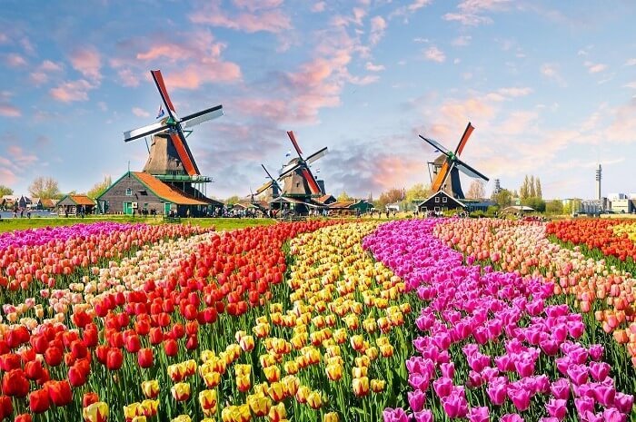 Vẻ đẹp của ngôi làng cối xay gió Kinderdijk thu hút du khách 2