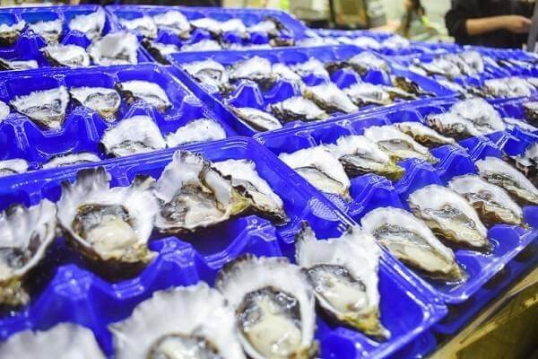 Chợ Cá Sydney: Kinh Nghiệm Tham Quan, Ăn Hải Sản Tươi 5 hàu Sydney Rock