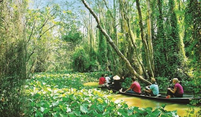 Tất Tần Tật Kinh Nghiệm Du Lịch Đồng Tháp Tự Túc