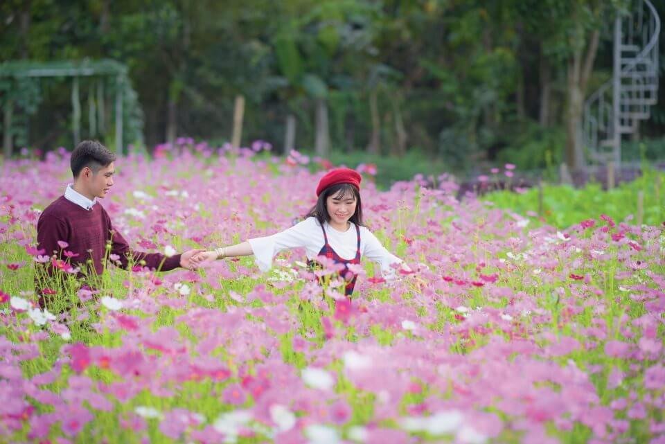 Nét đặc trưng của vườn hoa Mãn Đình Hồng Tiền Giang