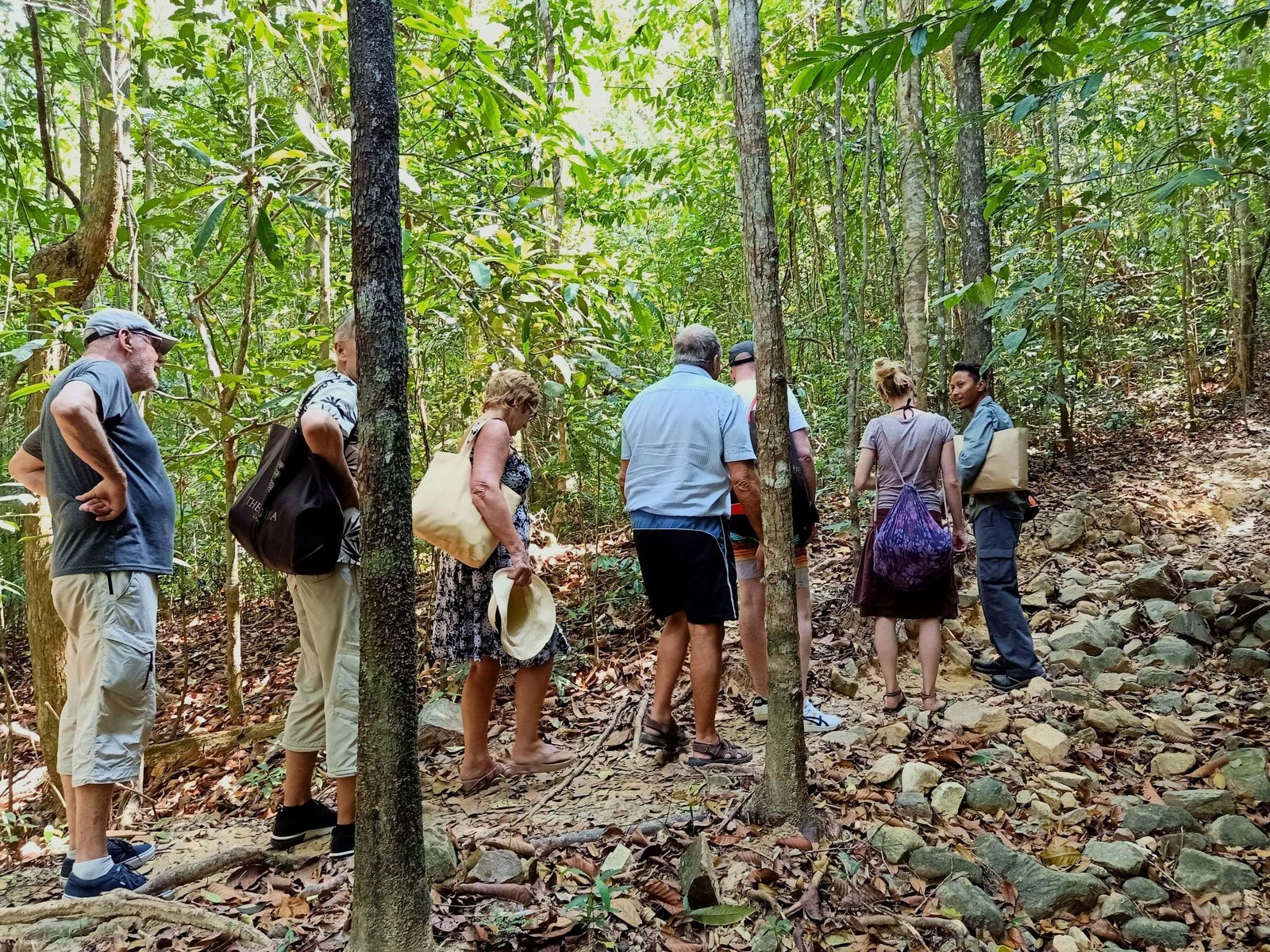 Rừng nhiệt đới Langkawi