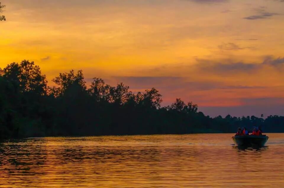 Sông Kinabatangan