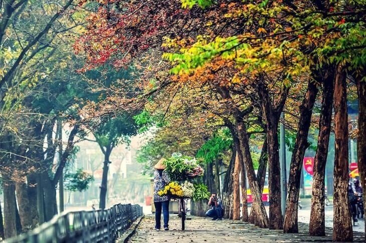 Đường Nguyễn Du