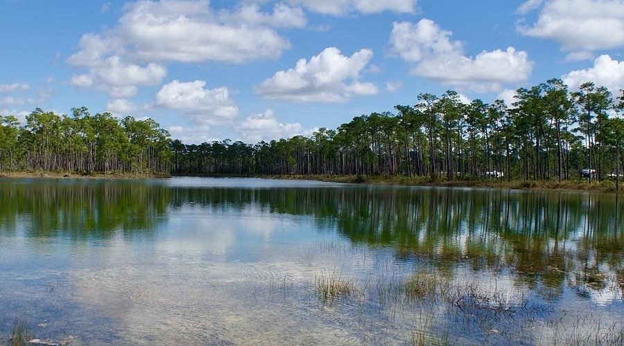 Công viên Everglades (Florida)
