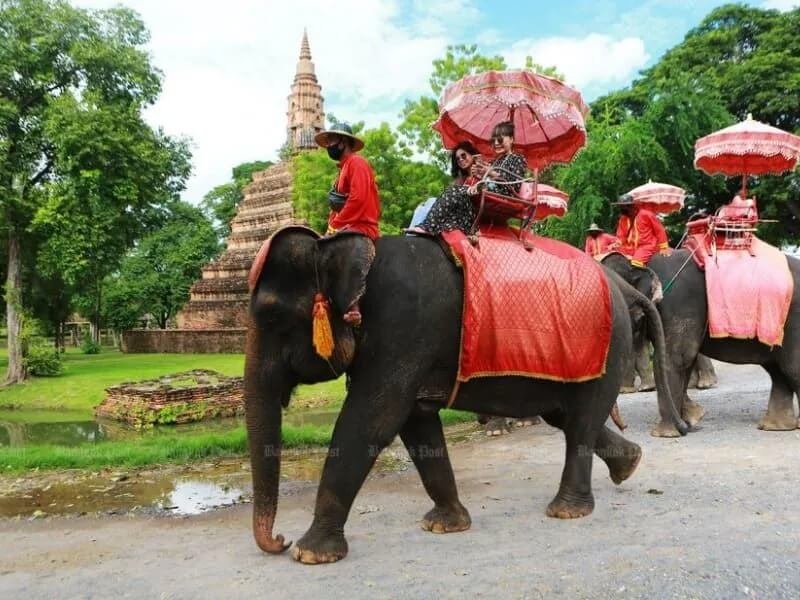 Cưỡi voi