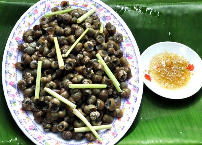 Đặc sản ốc gạo nức tiếng tại Cồn Phú Đa