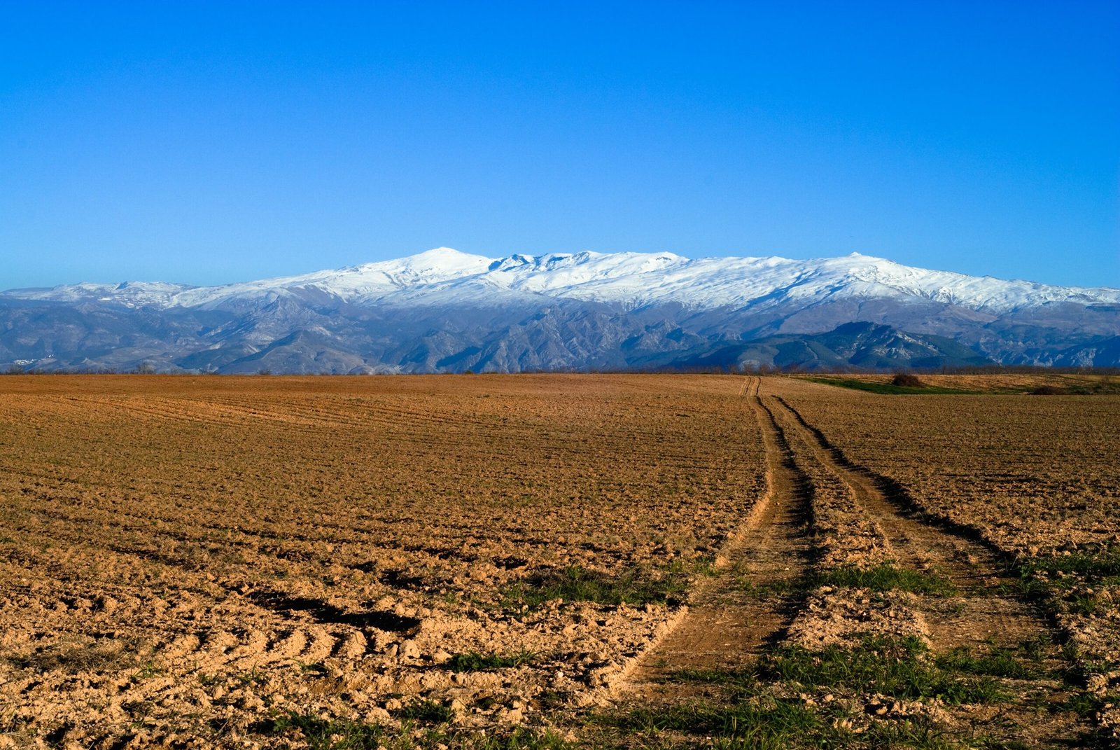Day Sierra Nevada scaled