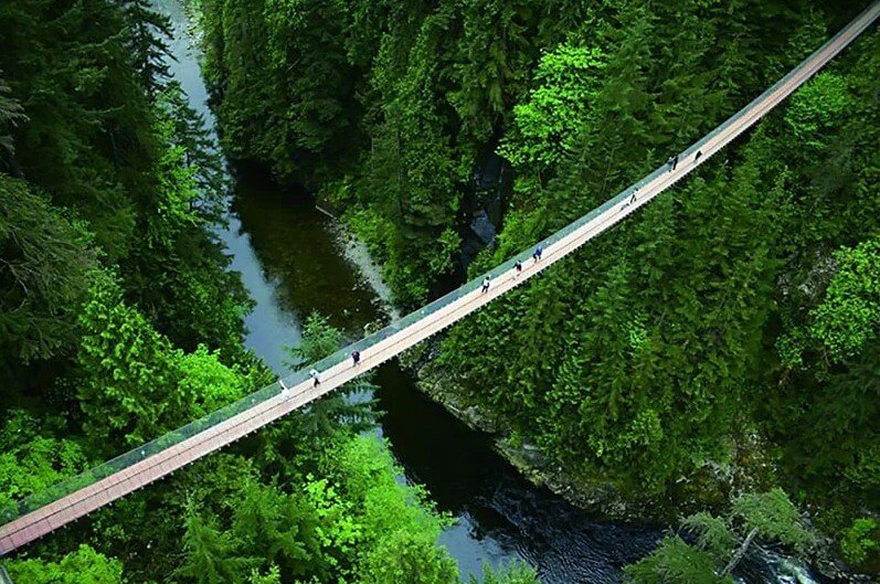 cầu treo capilano