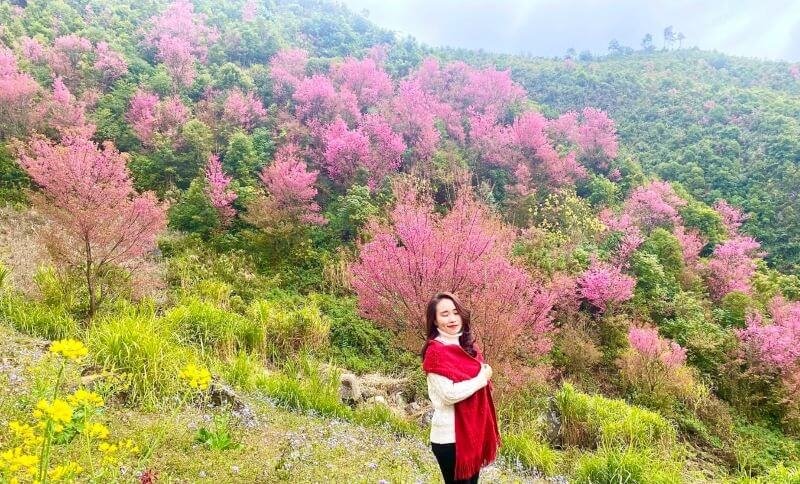 Mù Cang Chải - Yên Bái