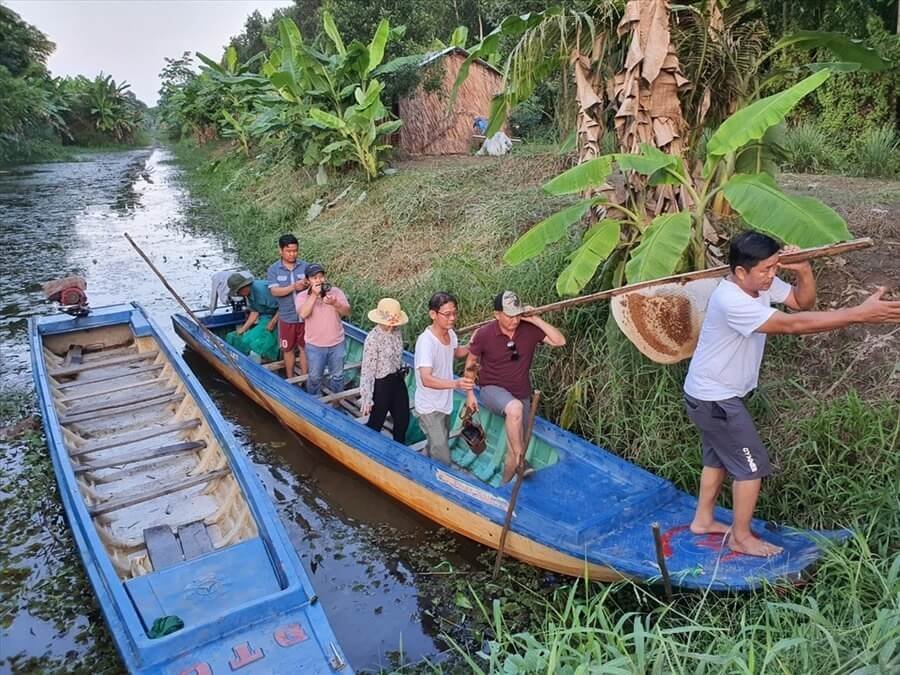 Tham gia cùng người dân lấy mật ong