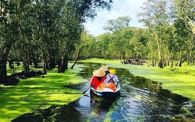 Tham quan rừng đước bằng thuyền