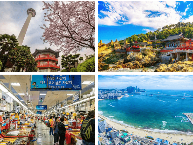 Du lịch Busan Hàn Quốc có gì?
