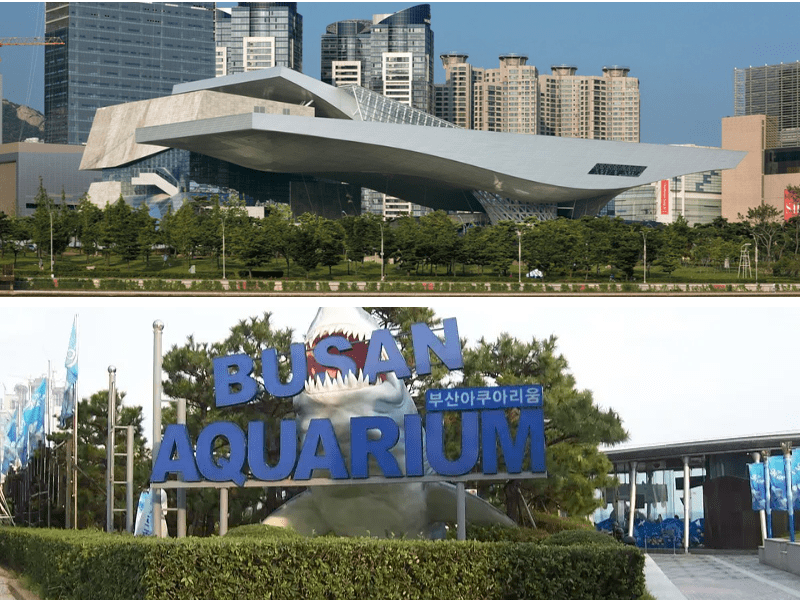 Các điểm tham quan khi du lịch Busan Hàn Quốc