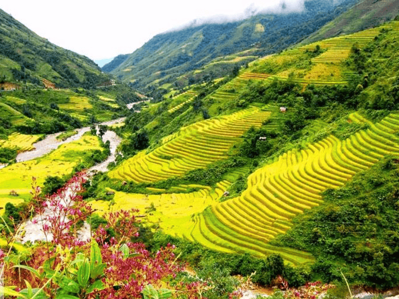 Cảnh đẹp Lào Cai