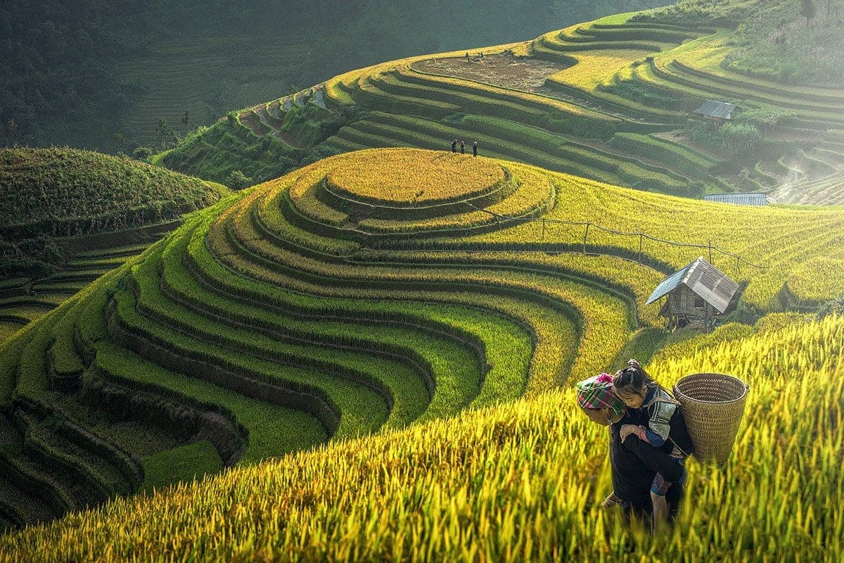Cảnh Đẹp Sapa Mùa Hè: Khám Phá Nét Đẹp Độc Đáo