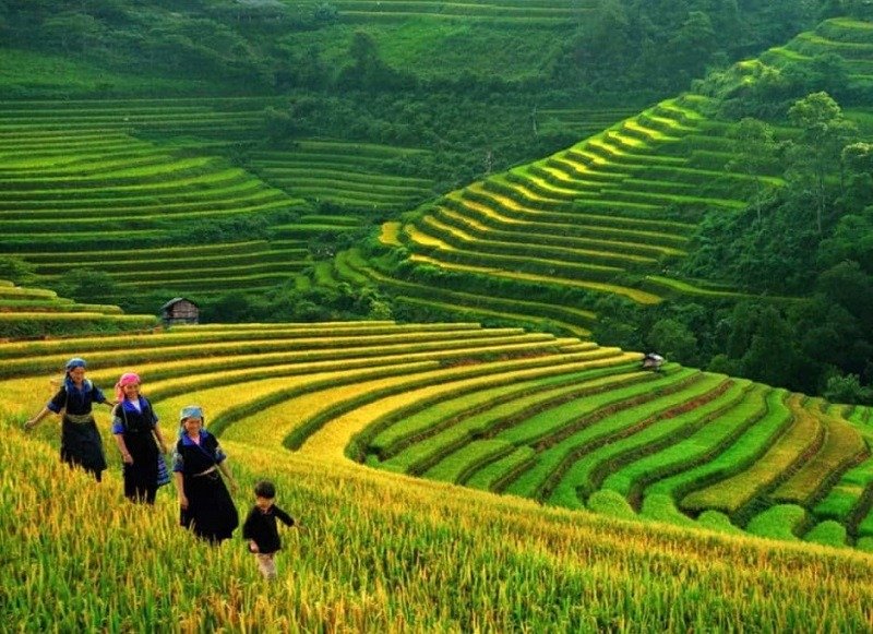 Cảnh đẹp sapa mùa hè