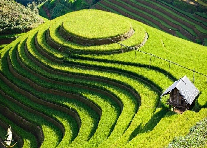 Tham quan các dải ruộng bậc thang để check-in